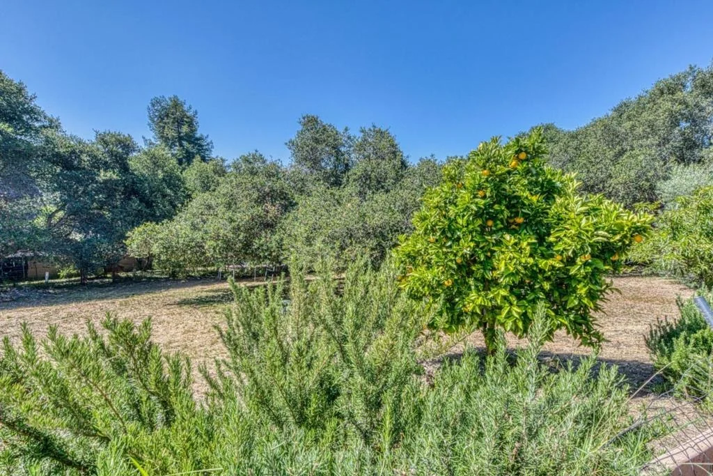 Photo of 19085 Marjorie Road