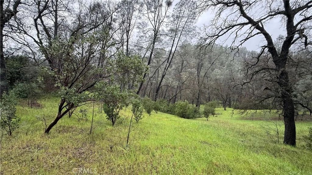 Photo of 16370 Oakridge Road