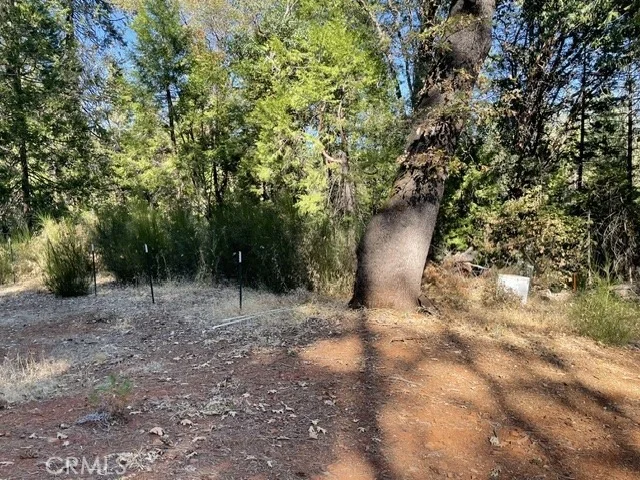 Photo of 0 Old Forbestown Road