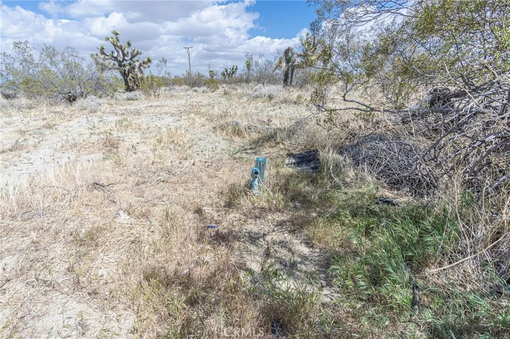 Photo of 1323 Bear Valley Road