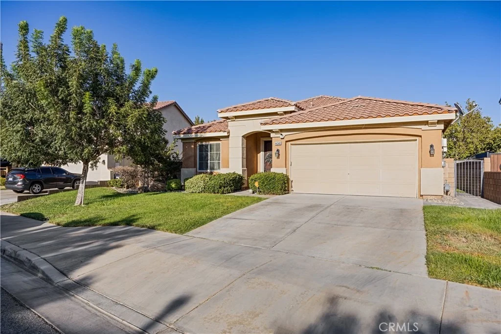 Photo of 44340 Acacia