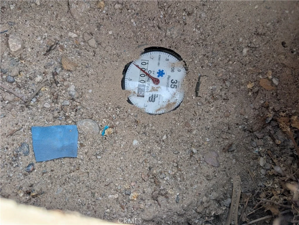 Photo of 2879 Gram