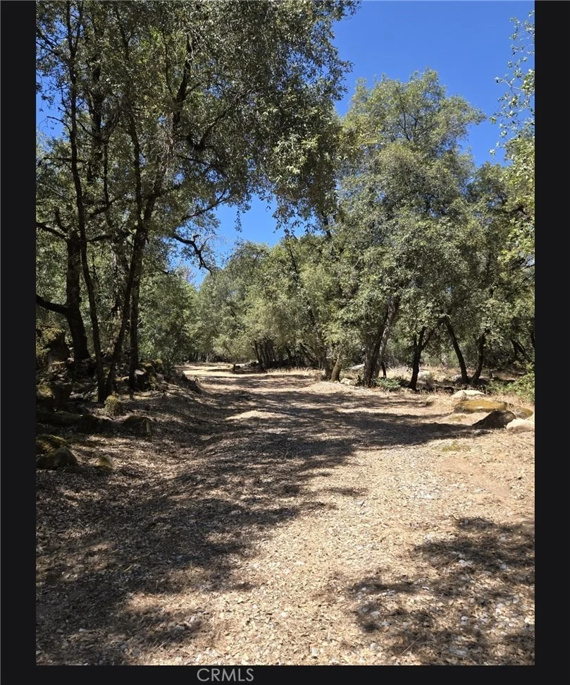 Photo of 1371 Moccasin Trail