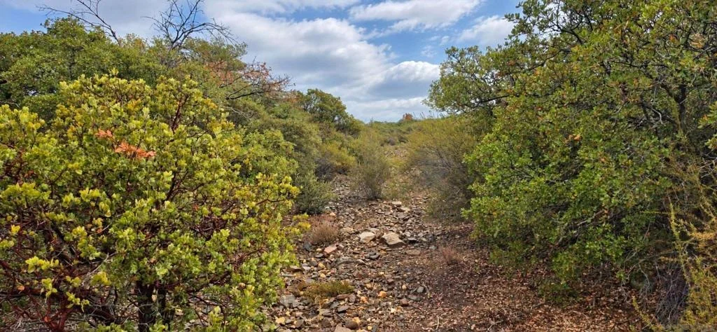 Photo of 5678 Acorn Patch