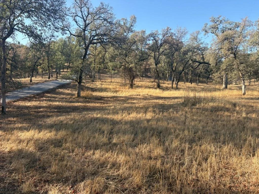 Photo of 8858 Sun Valley Drive
