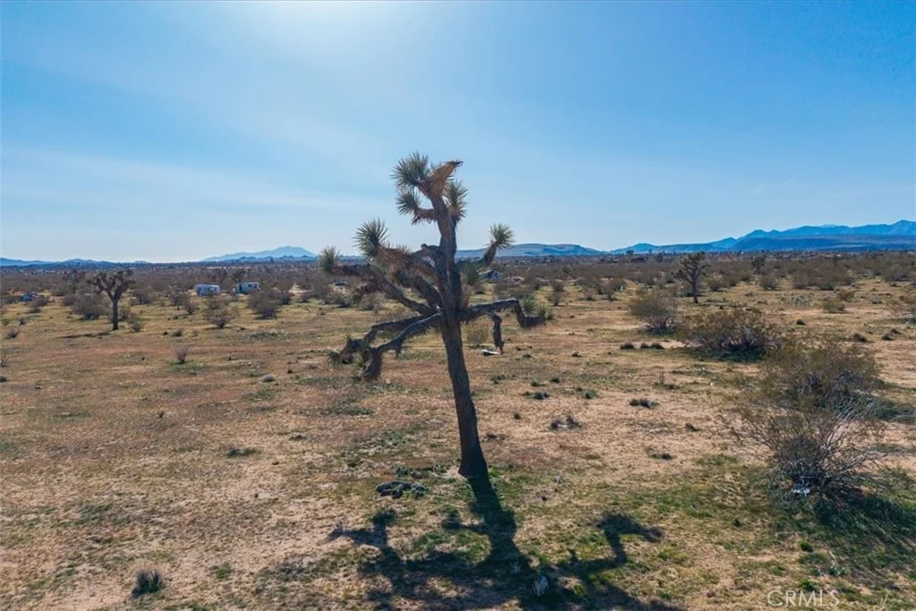 Photo of 58459 Starlight Mesa Road