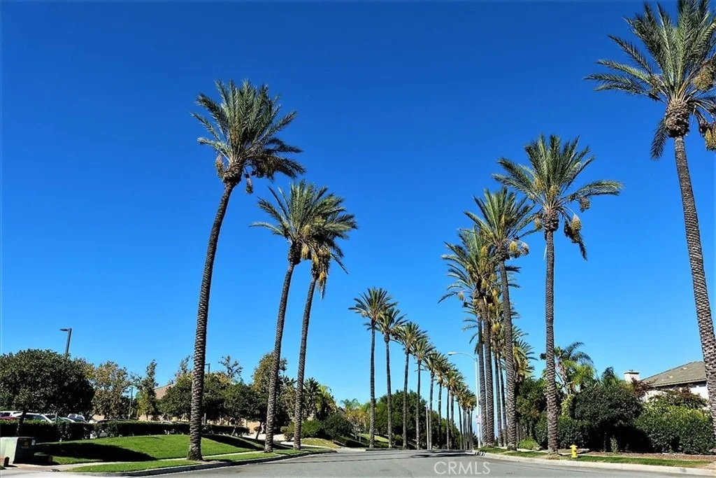 Photo of 1536 Vandagriff