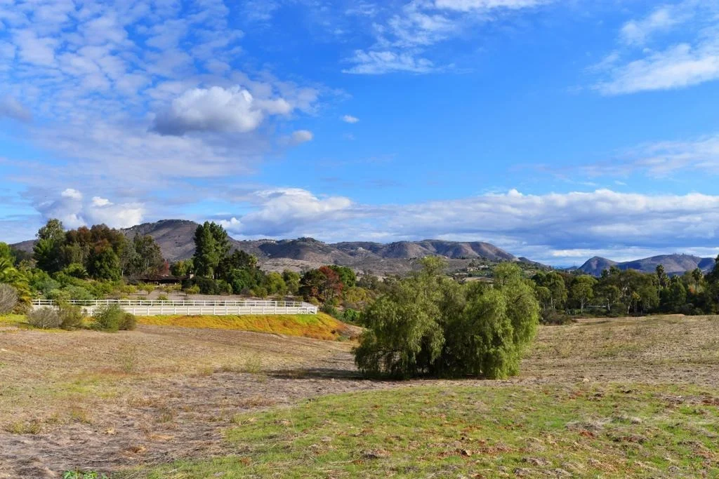 Photo of 6710 El Montevideo