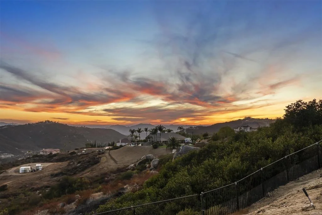 Photo of 2167 Collomia