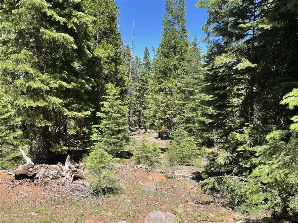 Photo of 0 Range Road