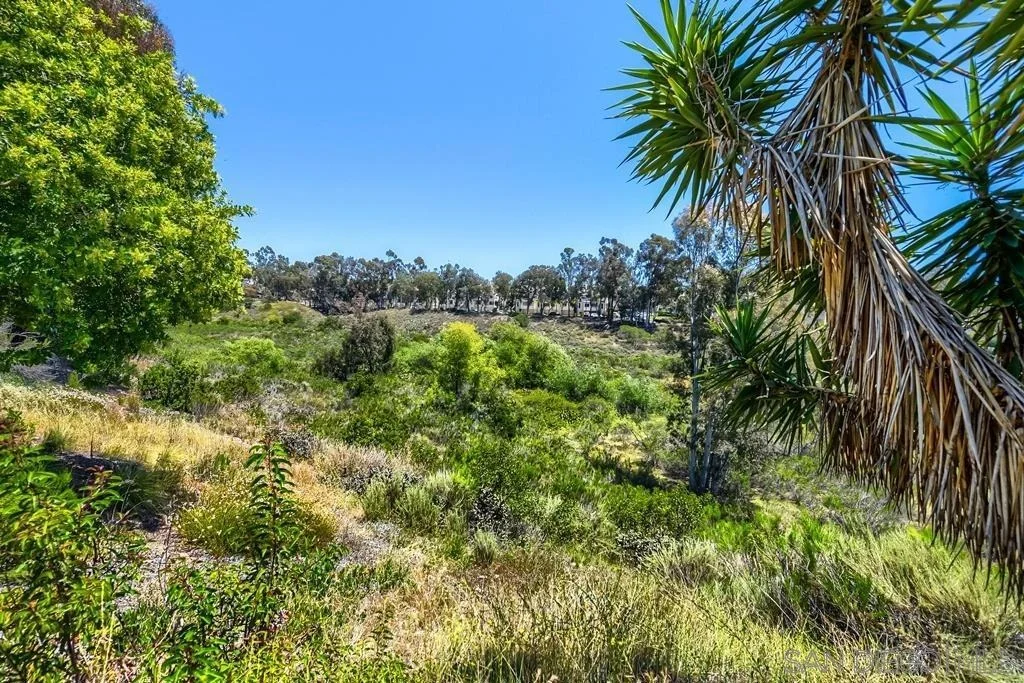 Photo of 5687 Menorca Dr