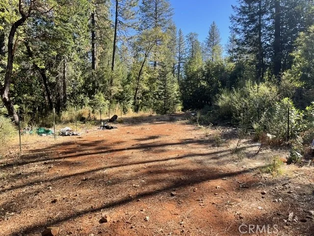 Photo of 0 Old Forbestown Road
