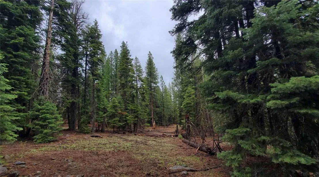 Photo of 0 Range Road