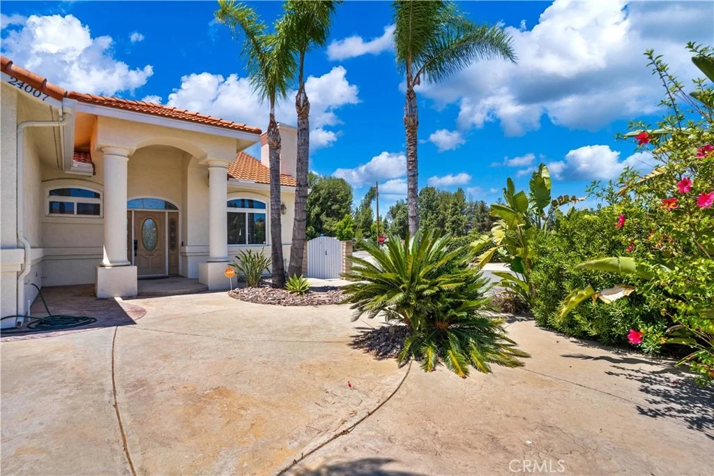 Photo of 24007 Jonquil