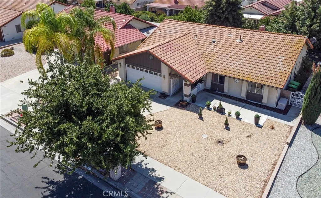 Photo of 2115 Flame Tree