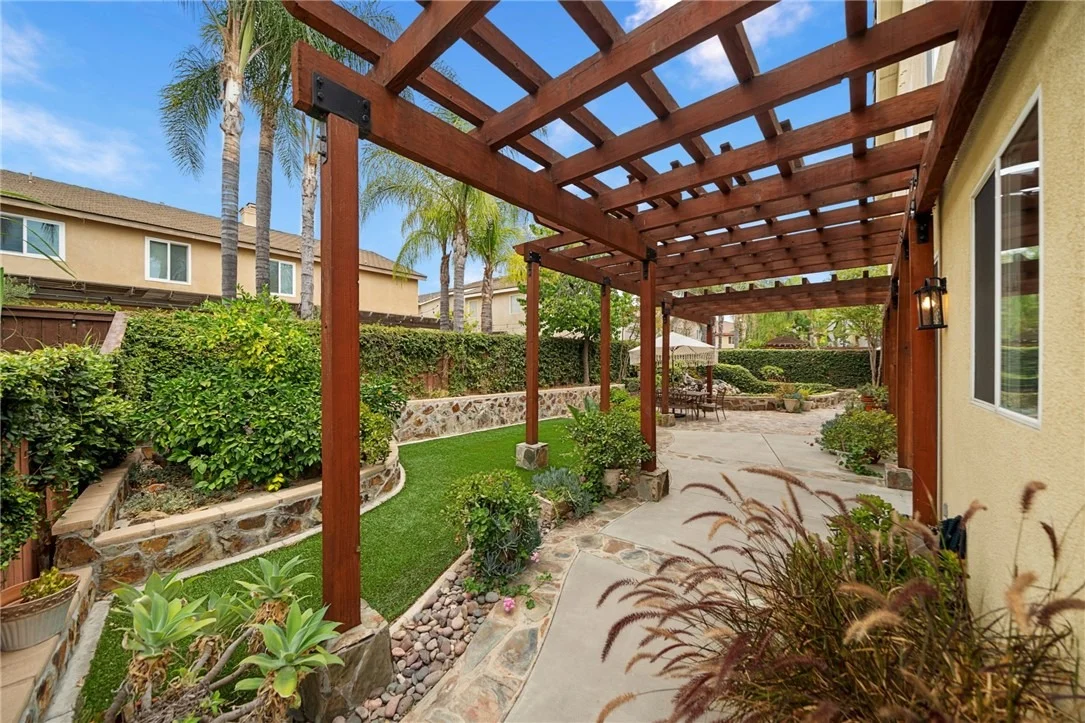 Photo of 26352 Palm Tree