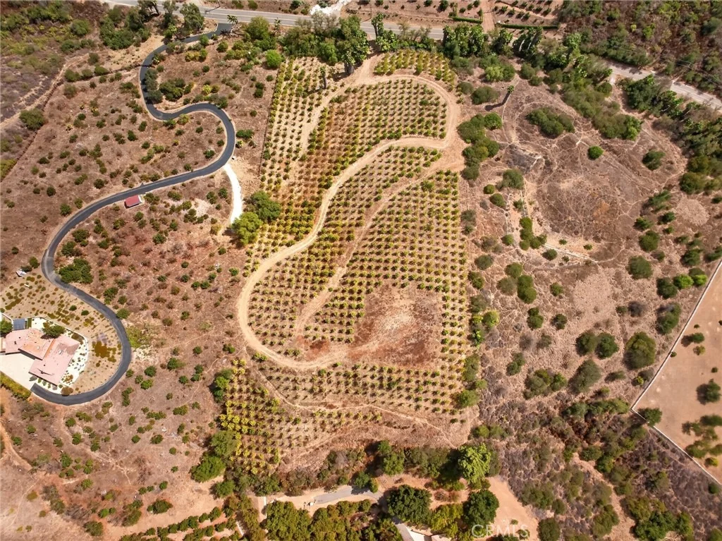 Photo of 16 Terreno