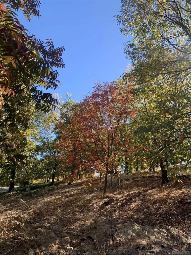 Photo of 4129 Eagle Peak
