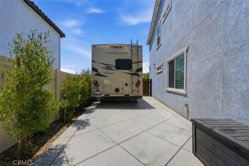 Photo of 29136 Tanoak