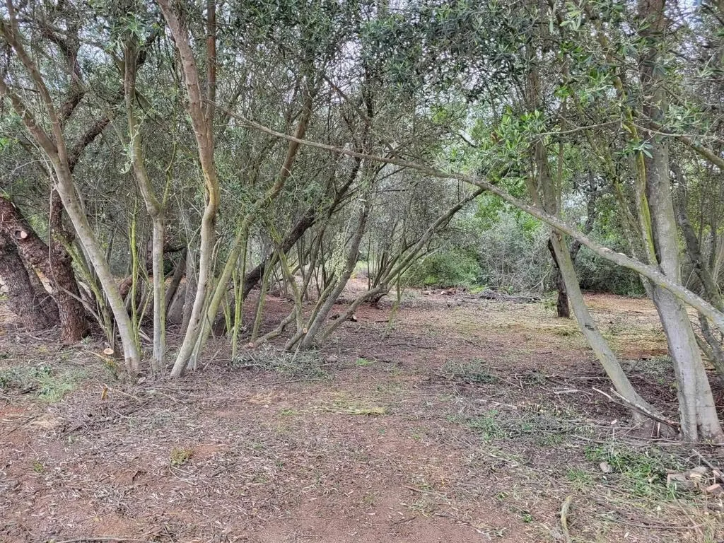 Photo of 616 Alpine Heights-20acres