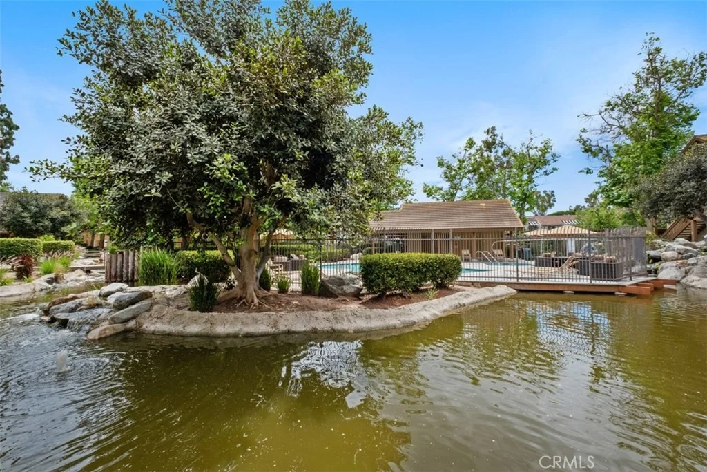 Photo of 324 Tangelo