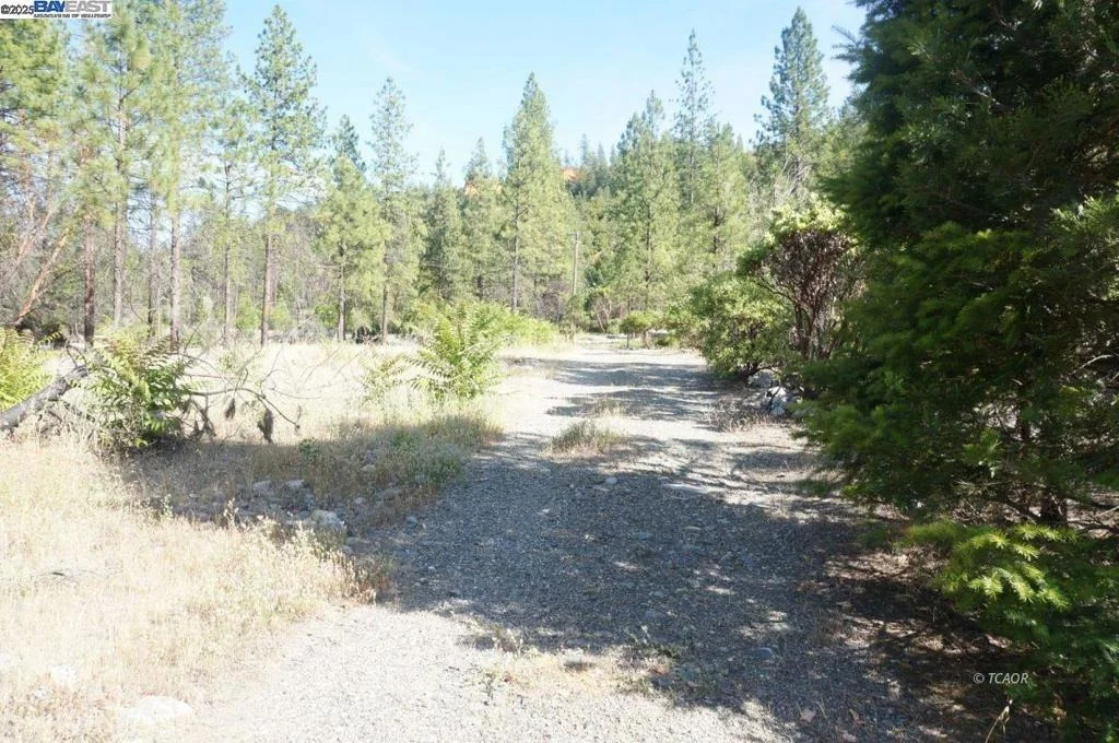 Photo of 101 River Acres