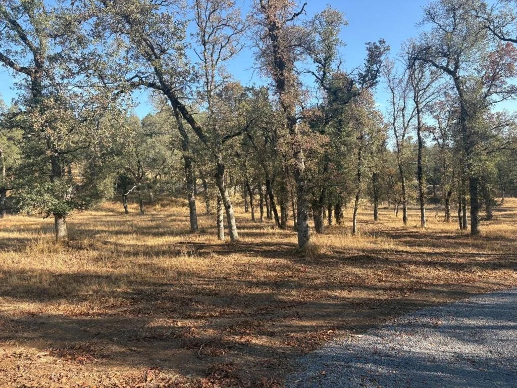 Photo of 8858 Sun Valley Drive