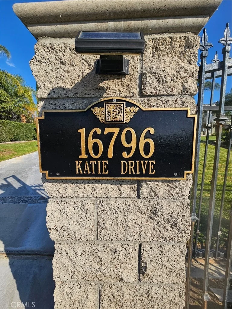Photo of 16796 Katie