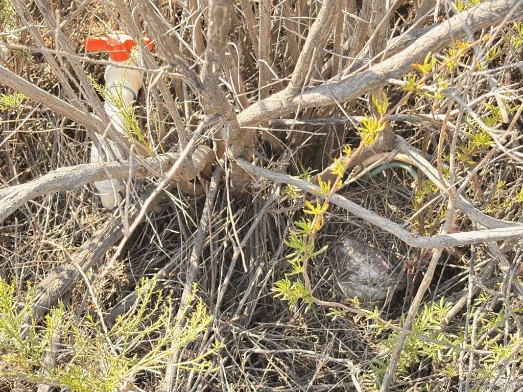 Photo of 23833 Tecate Mission Rd