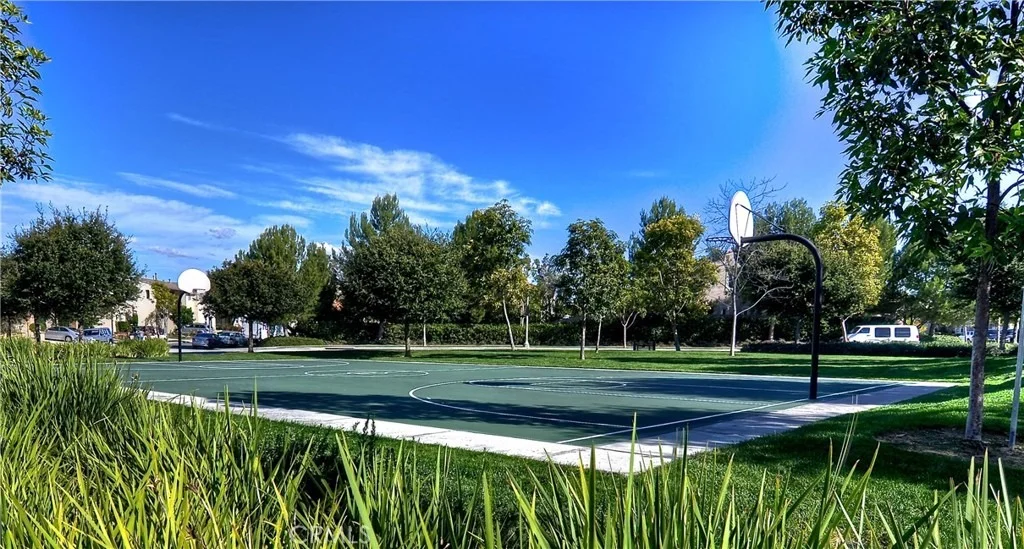 Photo of 95 Canopy