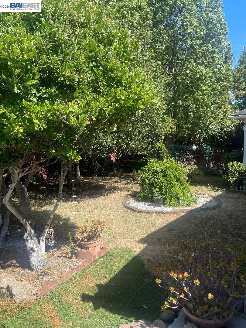 Photo of 656 Juana Ave
