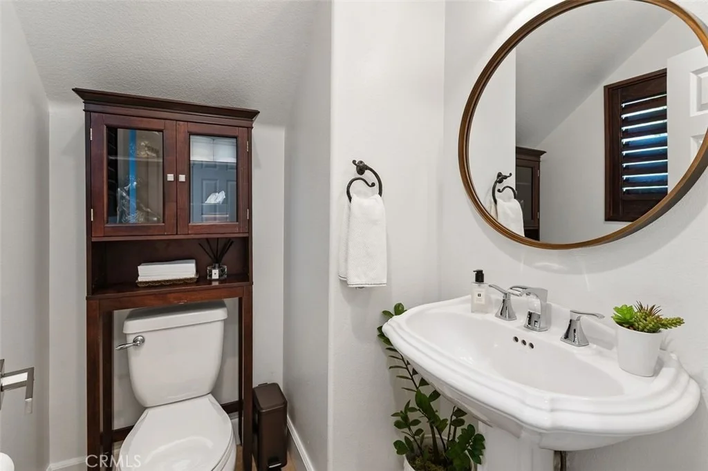 Photo of 41 Carpenteria
