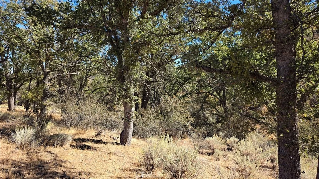 Photo of 0 Saint Moritz Drive