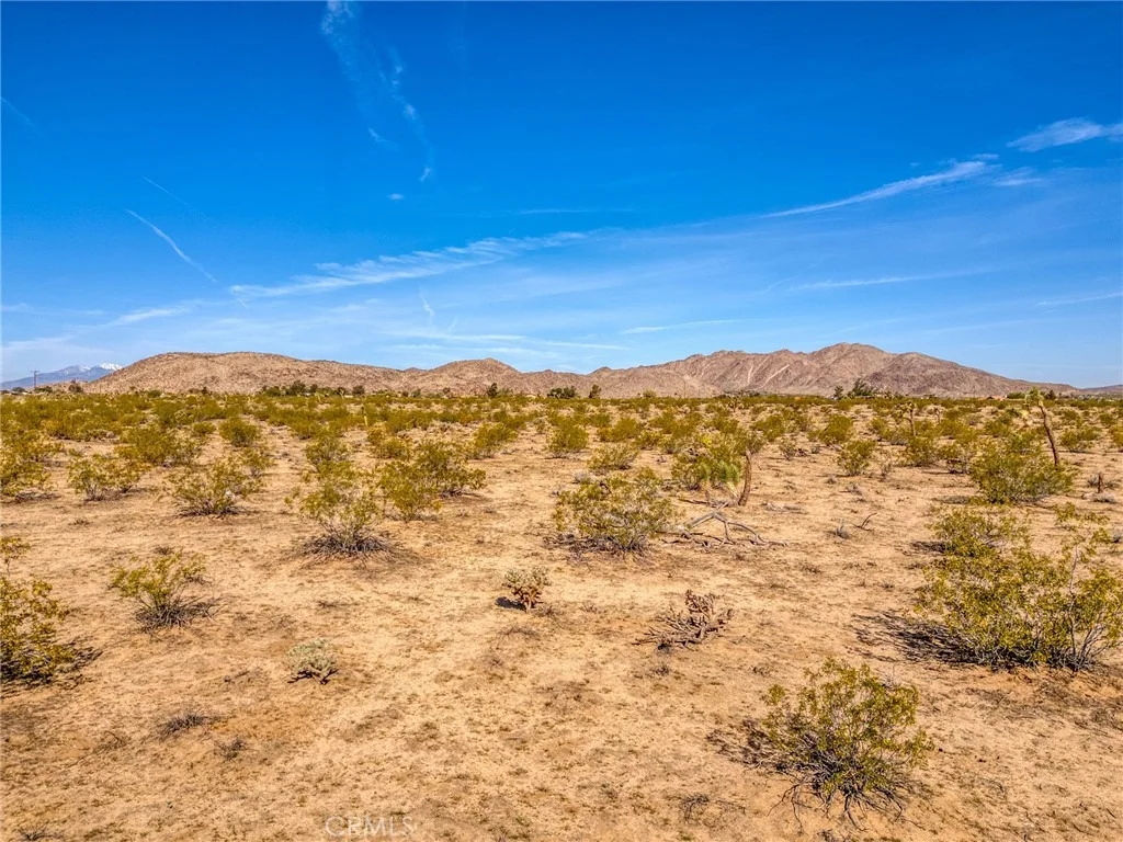 Photo of 62725 2 Mile Road