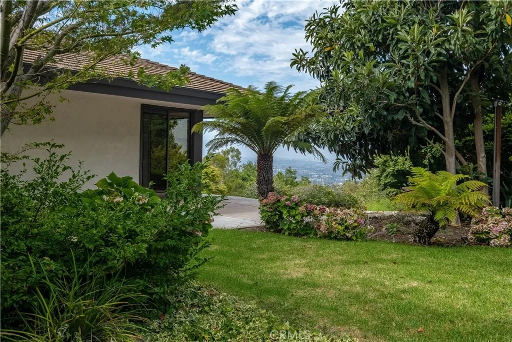 Photo of 57 Saddleback