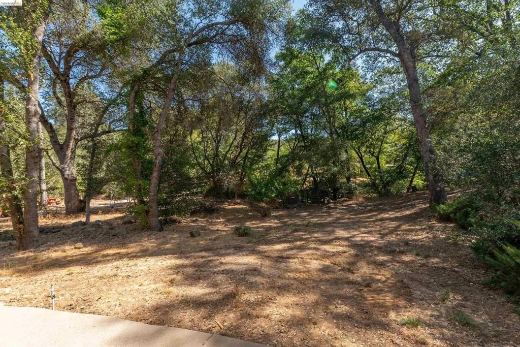 Photo of 20425 Brook Dr.