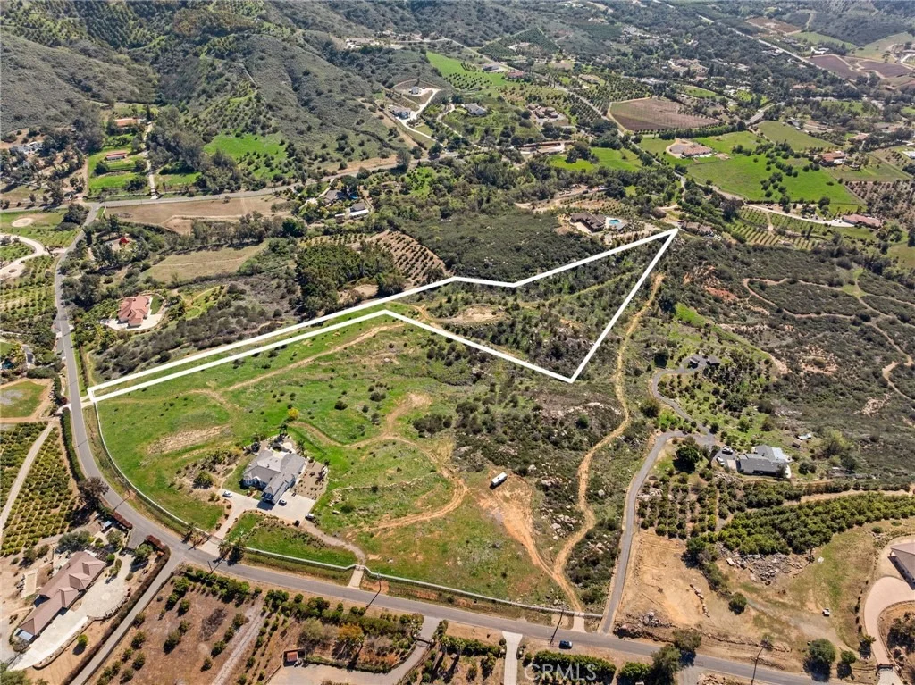 Photo of 2 Las Palmeras