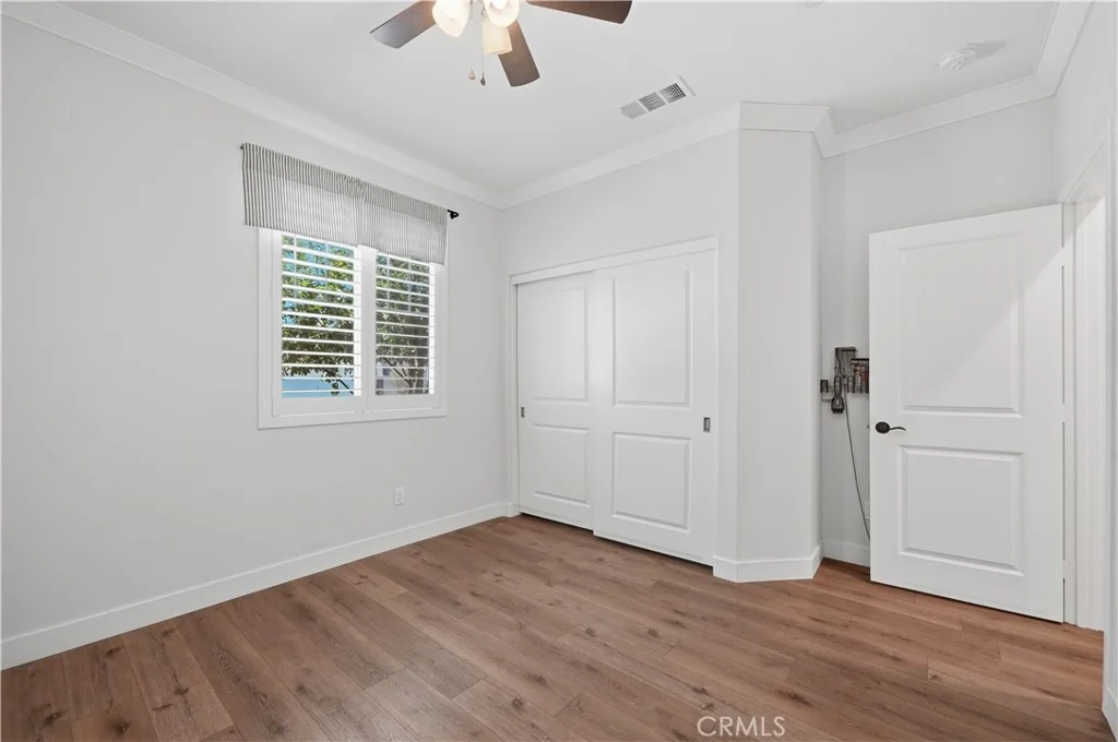 Photo of 29136 Tanoak
