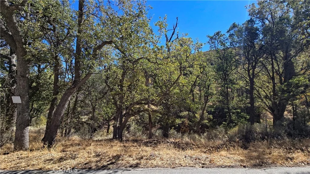Photo of 0 Saint Moritz Drive