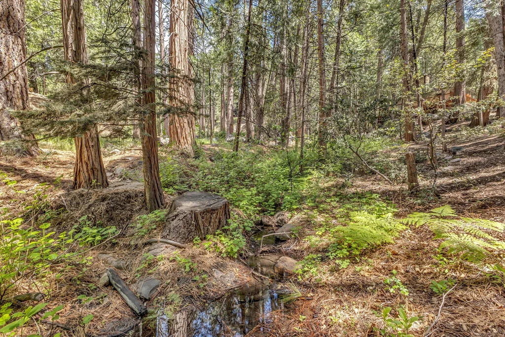 Photo of 55170 Daryll Road