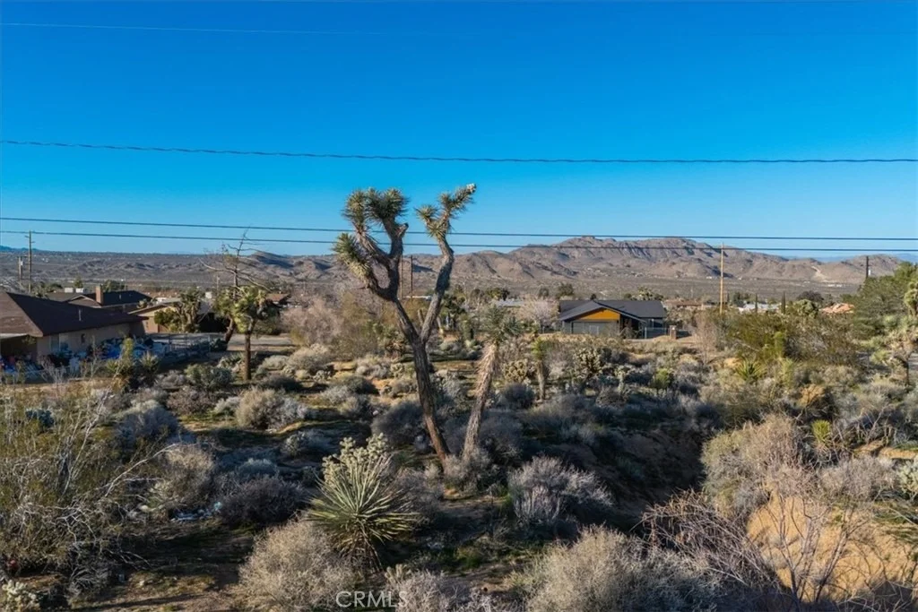 Photo of 60432 Latham Trail