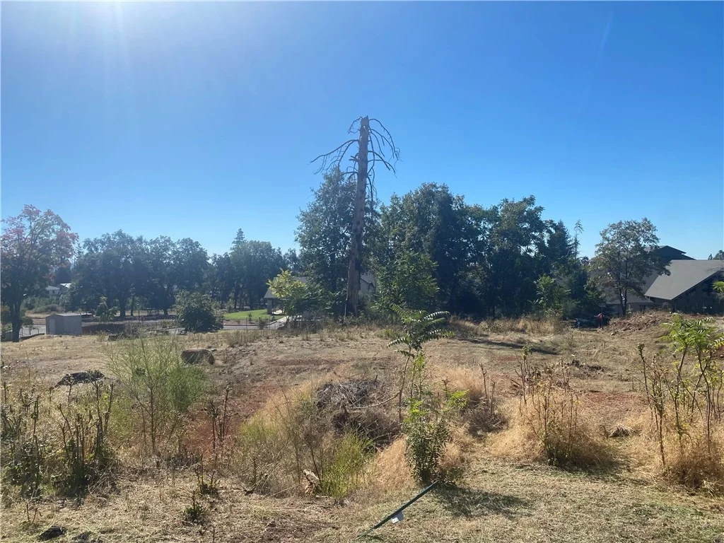 Photo of 494 Nunnelley Road