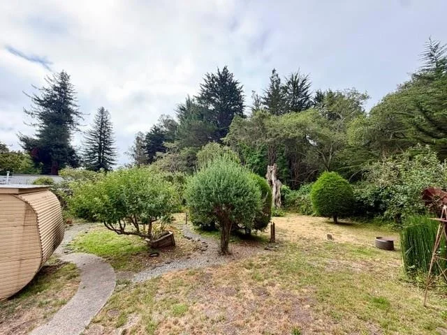 Photo of 905 Pinetree Lane