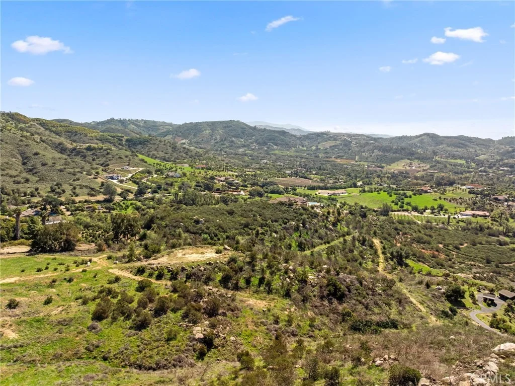 Photo of 2 Las Palmeras