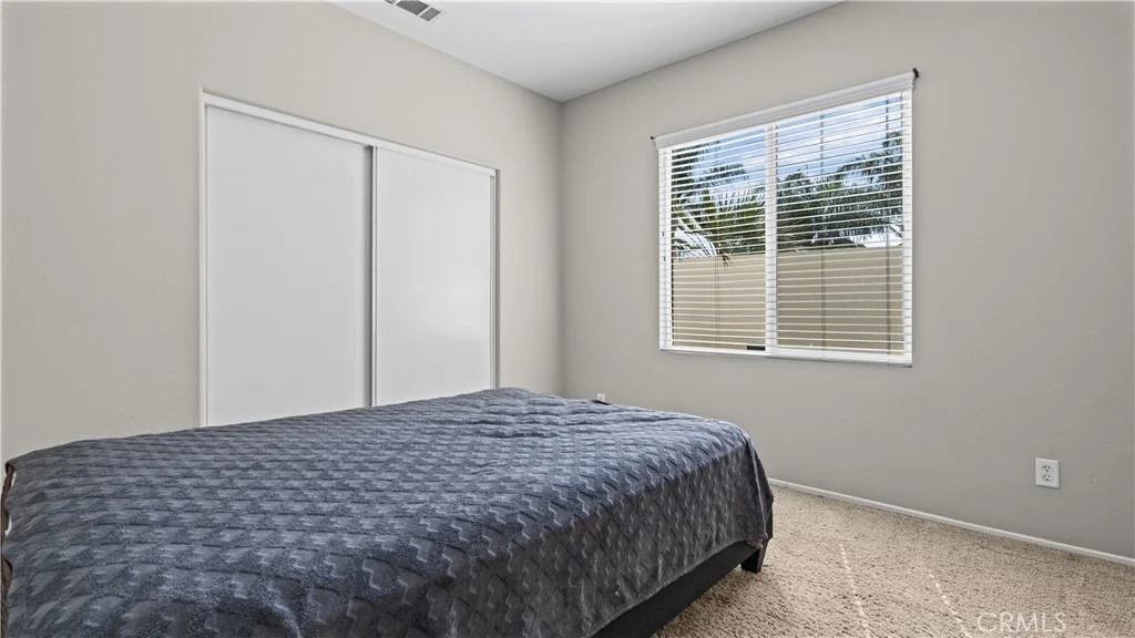 Photo of 29128 Blue Spruce