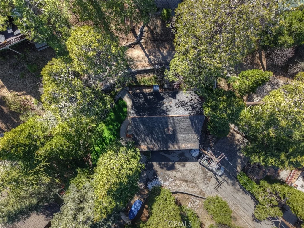 Photo of 238 Bluebell