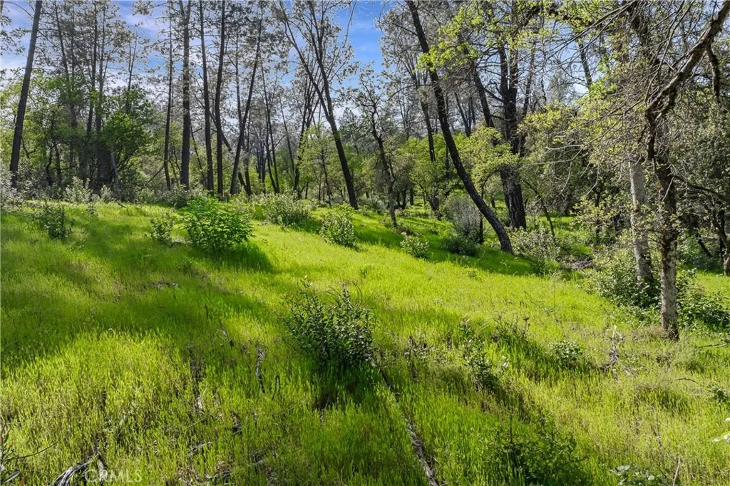 Photo of 9200 Silver King Road