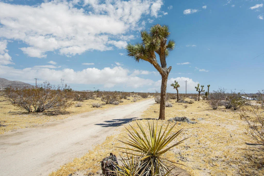 Photo of 62585 Two Mile Road