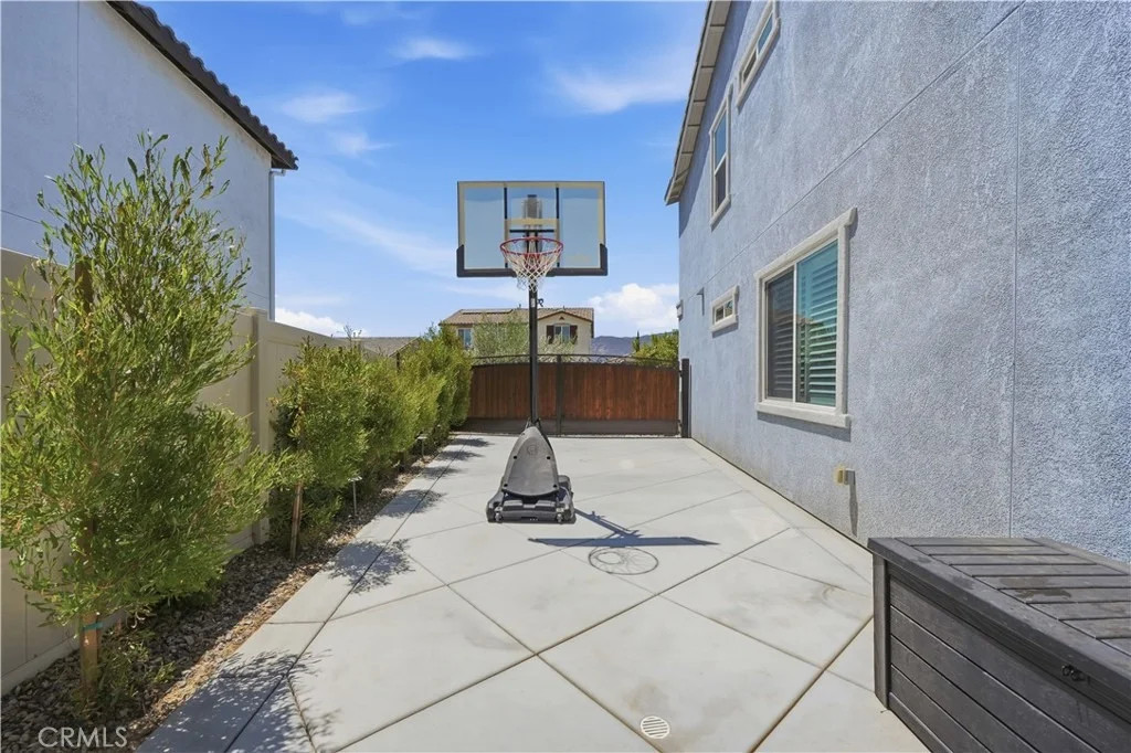 Photo of 29136 Tanoak