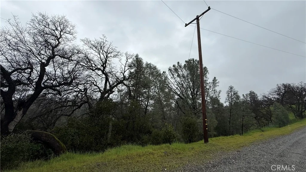 Photo of 16370 Oakridge Road